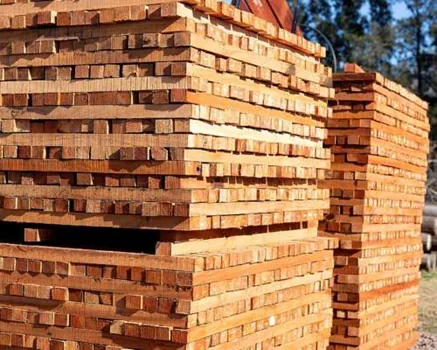 Varillas y Chiveras para Alambrado - imagen 2