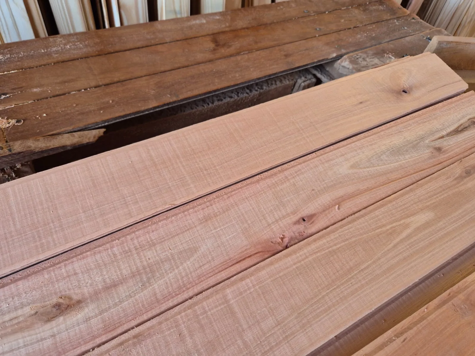 Machimbre de Eucalipto - imagen 3