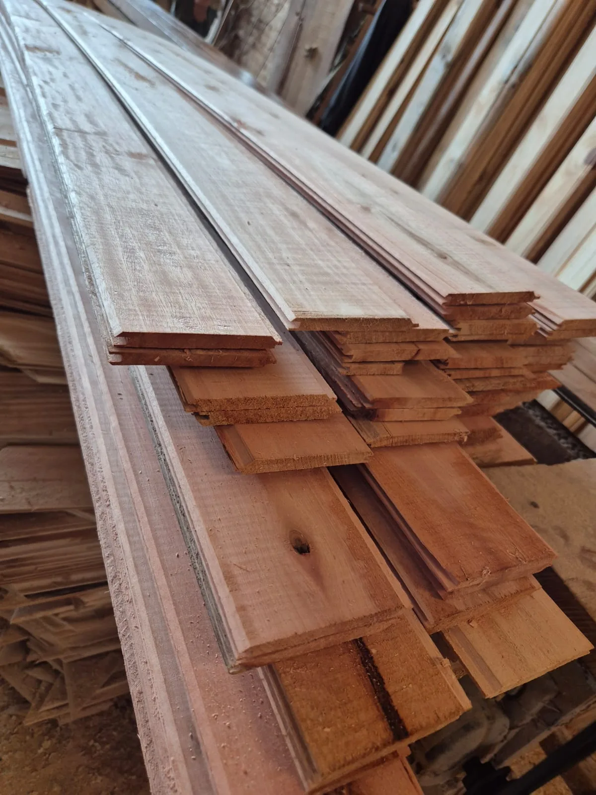 Machimbre de Eucalipto - imagen 4