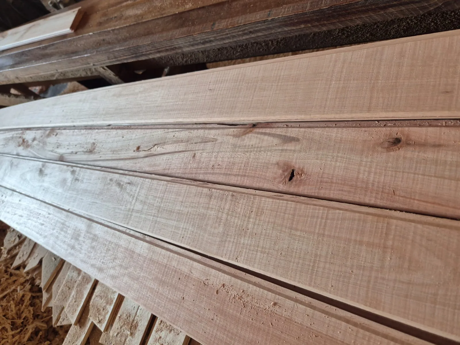 Machimbre de Eucalipto - imagen 5