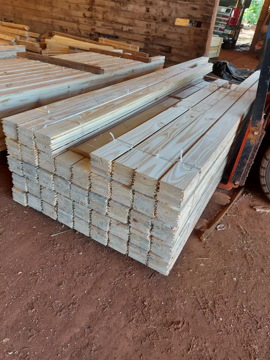 Machimbre de Pino - imagen 3