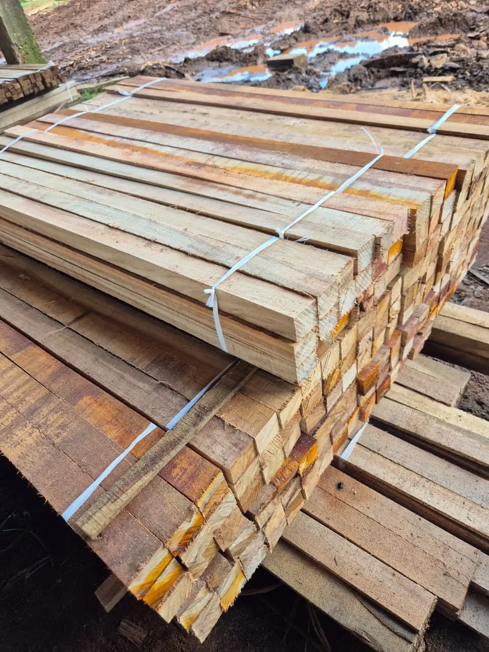 Varillas y Chiveras para Alambrado - imagen 4