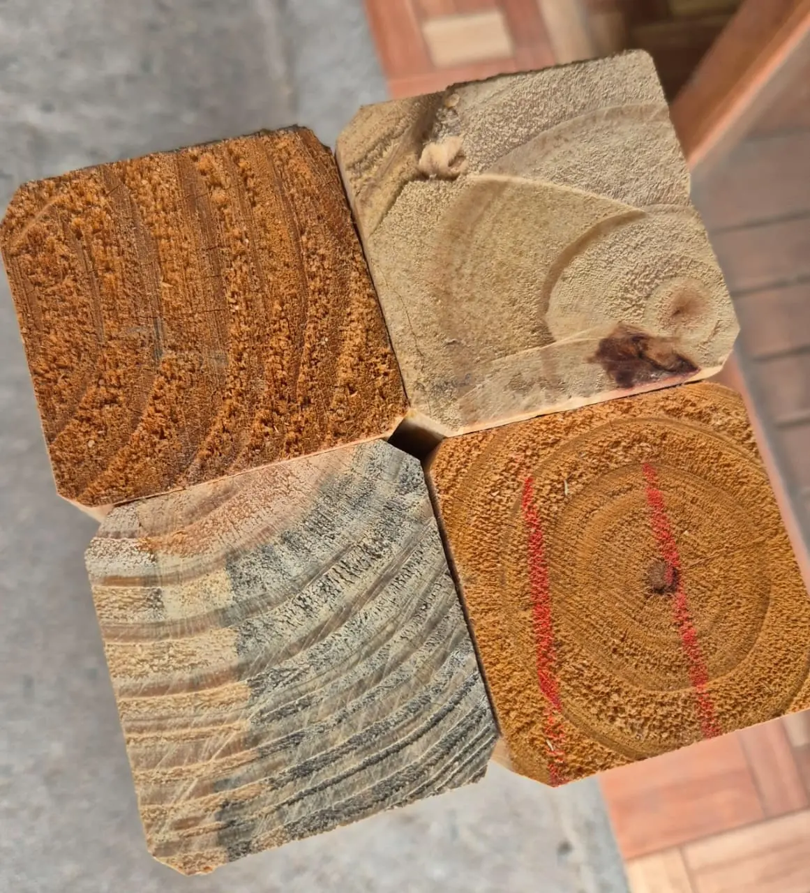 Patas de Mesa - imagen 4