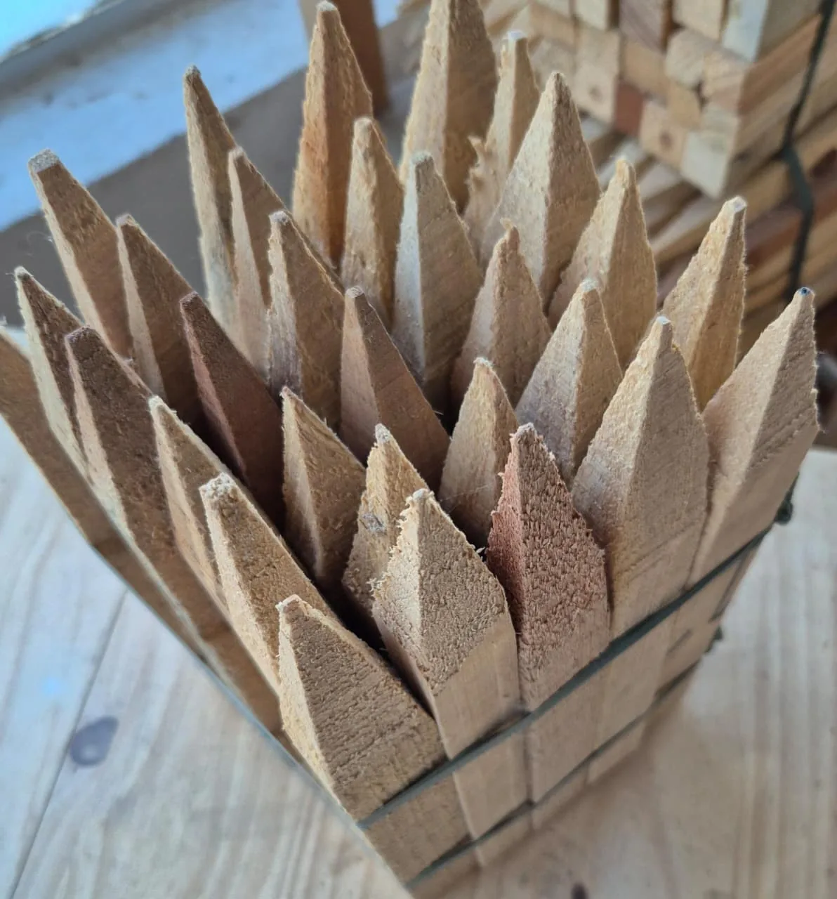 Estacas de Pino y Eucalipto - imagen 2